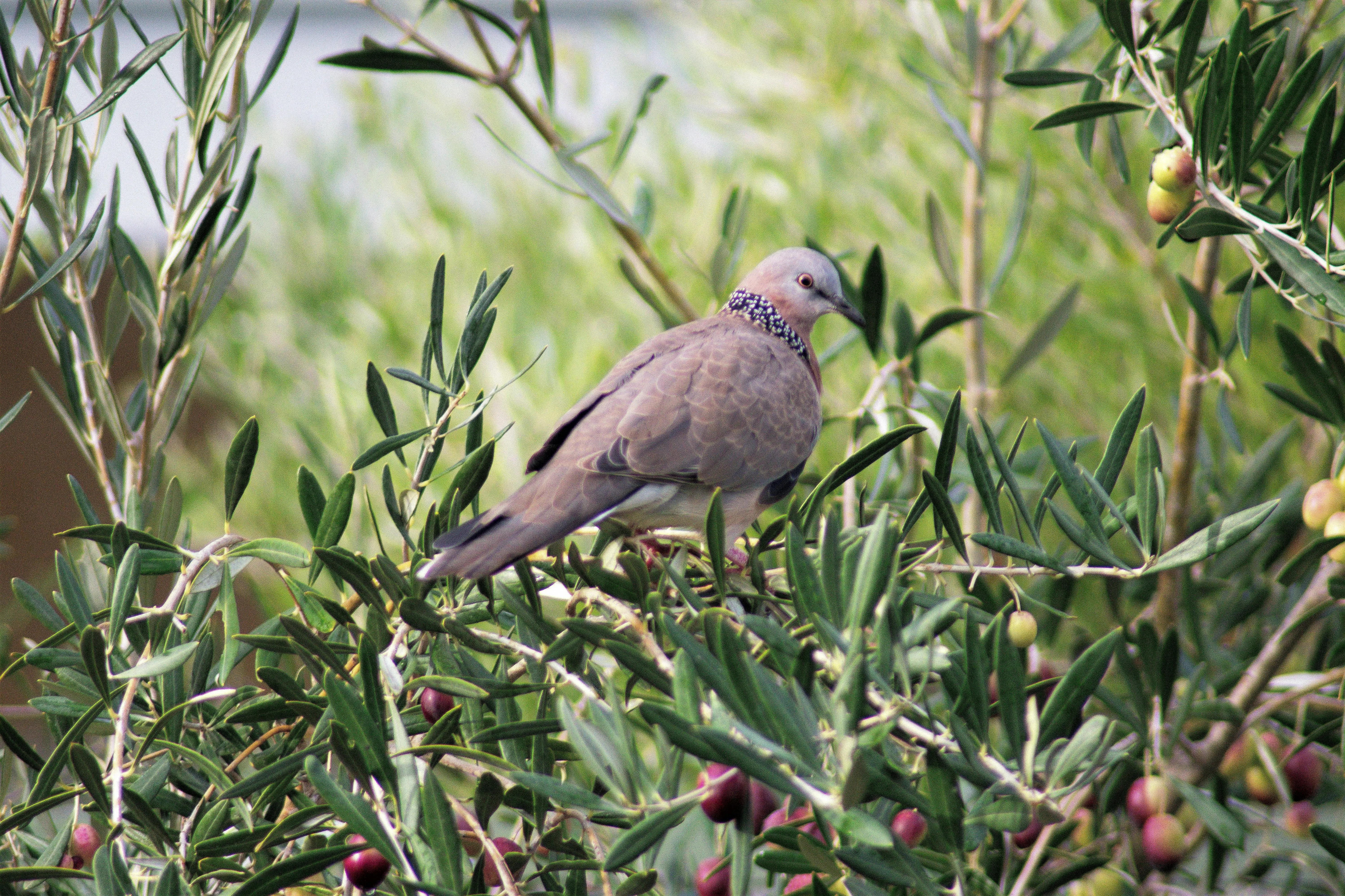 Mobile responsive design concept